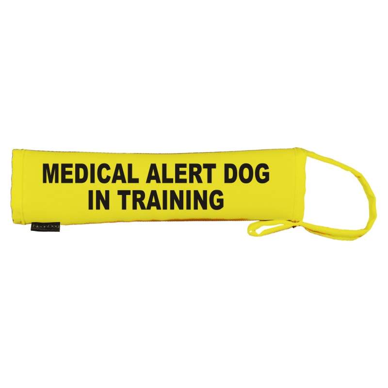 - Fluorescent Neon Yellow Dog Lead Slip