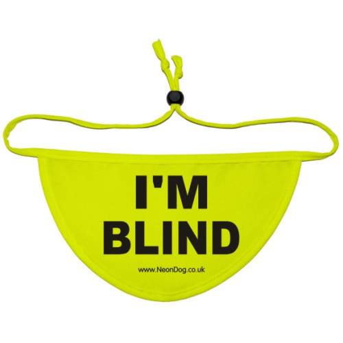 I'm Blind - Fluorescent Neon Yellow Dog Bandana