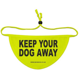 Keep your dog away - Fluorescent Neon Yellow Dog Bandana