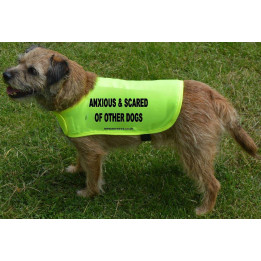 Anxious & Scared Of Other Dogs - Fluorescent Neon Yellow Dog Coat Jacket