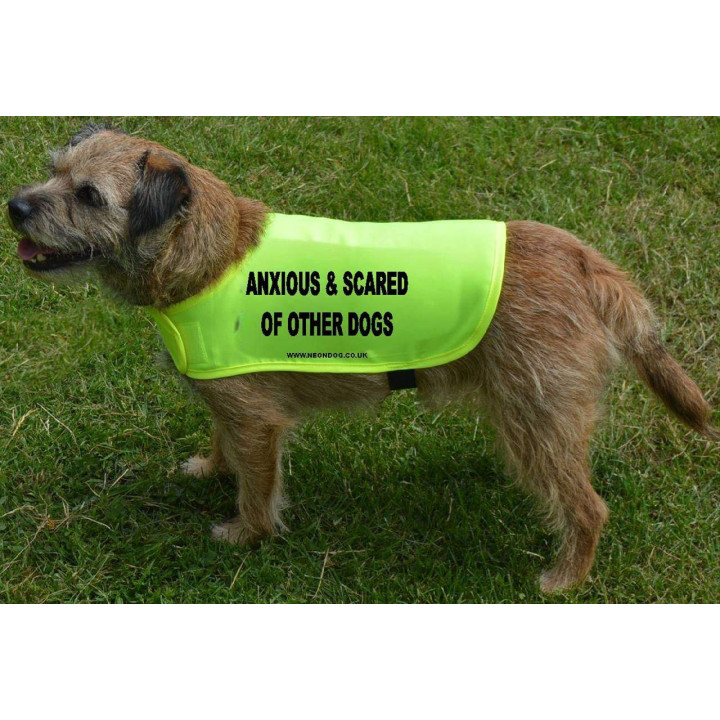 Anxious & Scared Of Other Dogs - Fluorescent Neon Yellow Dog Coat Jacket