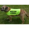 Anxious & Scared Of Other Dogs - Fluorescent Neon Yellow Dog Coat Jacket