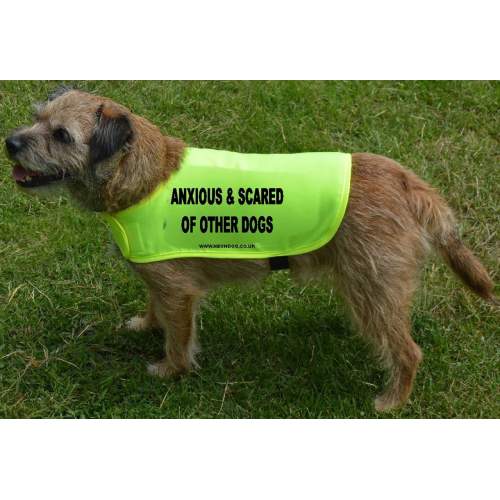Anxious & Scared Of Other Dogs - Fluorescent Neon Yellow Dog Coat Jacket