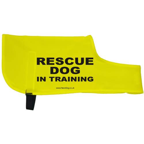 RESCUE DOG IN TRAINING - Fluorescent Neon Yellow Dog Coat Jacket