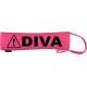 Caution DIVA - Fluorescent Neon Yellow Dog Lead Slip