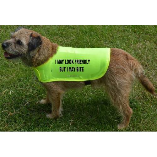 I May Look Friendly But I May Bite - Fluorescent Neon Yellow Dog Coat Jacket