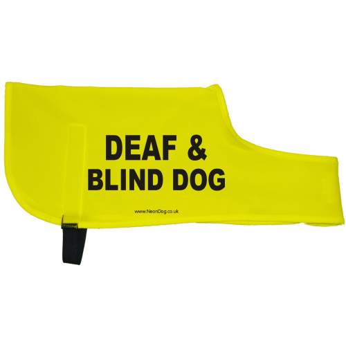 DEAF & BLIND DOG - I'm blind & have dementia - Fluorescent Neon Yellow Dog Coat Jacket