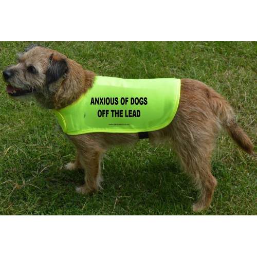 Anxious of dogs OFF the lead - Fluorescent Neon Yellow Dog Coat Jacket