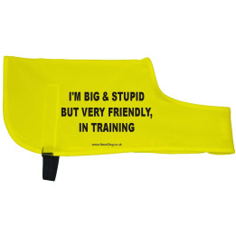 I'm big & stupid but very friendly in training  - Fluorescent Neon Yellow Dog Coat Jacket