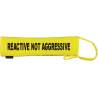 - Fluorescent Neon Yellow Dog Lead Slip