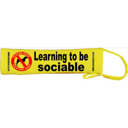 Learning to be sociable  - Fluorescent Neon Yellow Dog Lead Slip