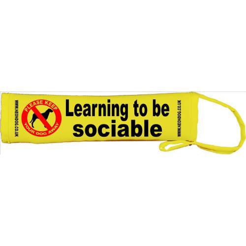 Learning to be sociable - Fluorescent Neon Yellow Dog Lead Slip