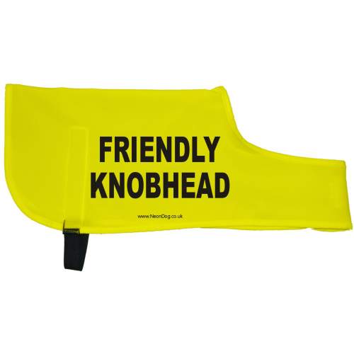 Friendly Knobhead - Fluorescent Neon Yellow Dog Coat Jacket