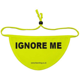 Ignore Me - Fluorescent Neon Yellow Dog Bandana