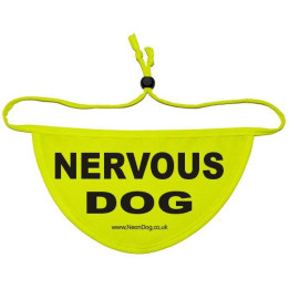 Nervous Dog - Fluorescent Neon Yellow Dog Bandana