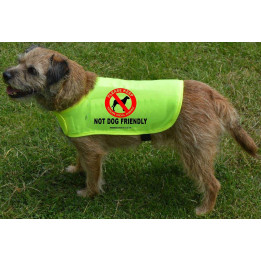 Not Dog Friendly - Fluorescent Neon Yellow Dog Coat Jacket