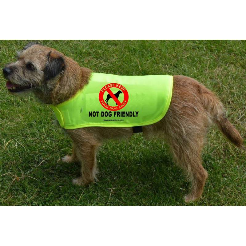 Not Dog Friendly - Fluorescent Neon Yellow Dog Coat Jacket
