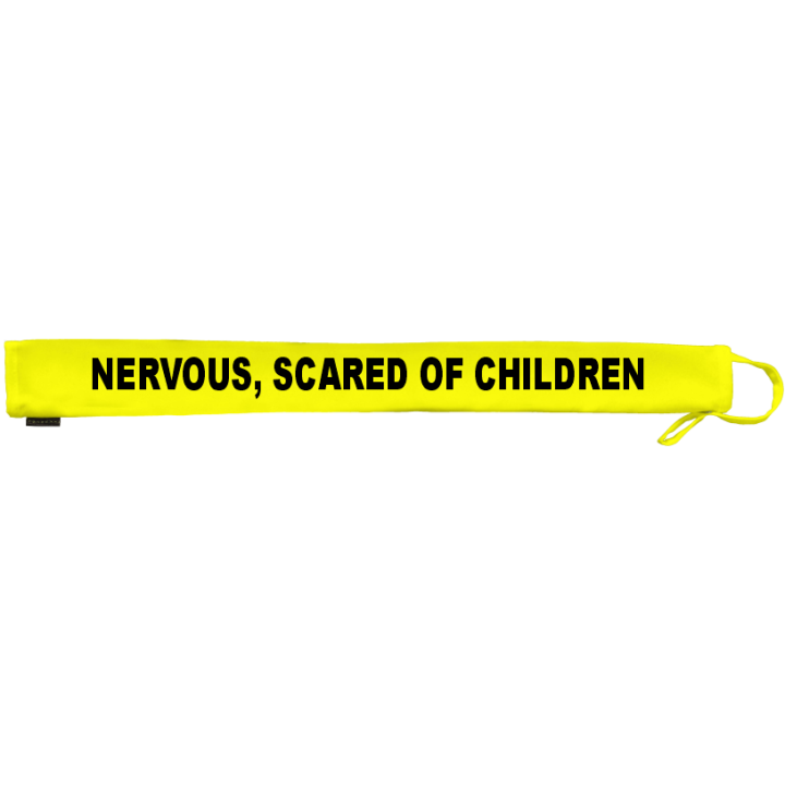 Nervous scared of children  - Extra Long Fluorescent Neon Yellow Dog Lead Slip