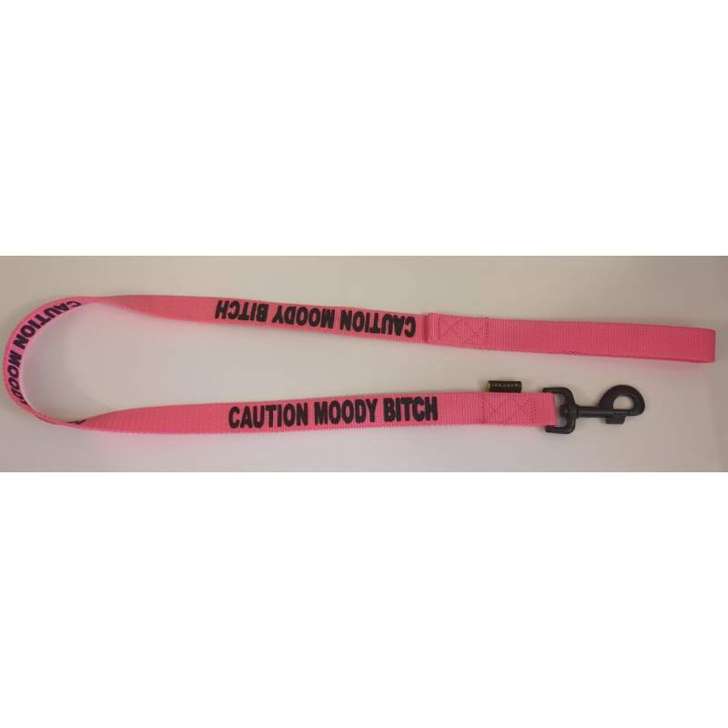 Caution Moody Bitch - Fluorescent Neon Yellow Dog Lead
