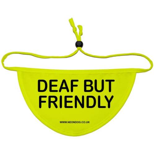 DEAF BUT FRIENDLY - Fluorescent Neon Yellow Dog Bandana