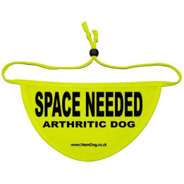 SPACE NEEDED ARTHRITIC DOG - Fluorescent Neon Yellow Dog Bandana