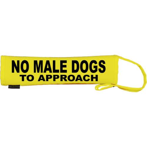 NO MALE DOGS TO APPROACH - Fluorescent Neon Yellow Dog Lead Slip