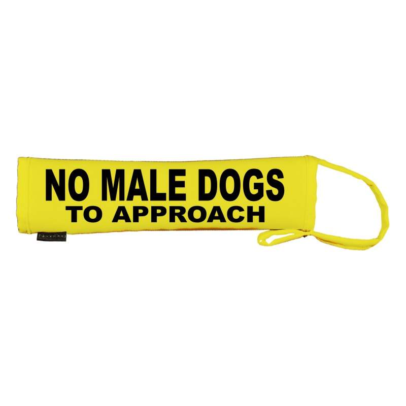 - Fluorescent Neon Yellow Dog Lead Slip