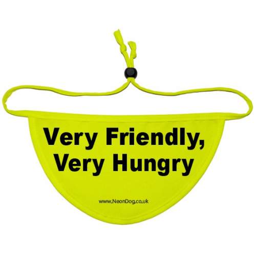 Space Needed - Fluorescent Neon Yellow Dog Bandana