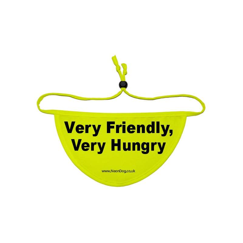 Space Needed - Fluorescent Neon Yellow Dog Bandana