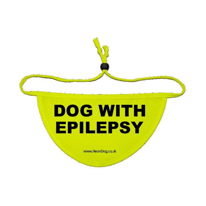 Dog with epilepsy - Fluorescent Neon Yellow Dog Bandana
