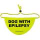 Dog with epilepsy - Fluorescent Neon Yellow Dog Bandana