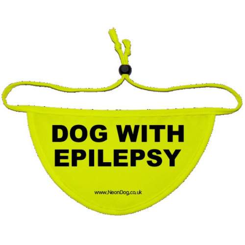 Space Needed - Fluorescent Neon Yellow Dog Bandana