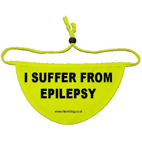 Space Needed - Fluorescent Neon Yellow Dog Bandana