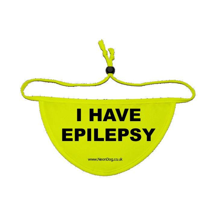 I have Epilepsy - Fluorescent Neon Yellow Dog Bandana