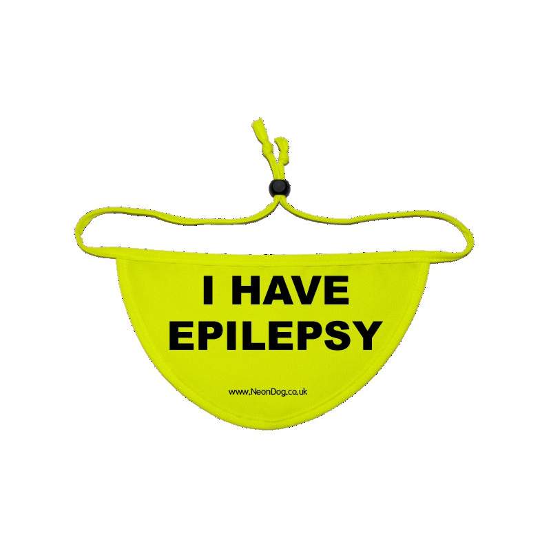 I have Epilepsy - Fluorescent Neon Yellow Dog Bandana