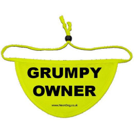Grumpy Owner - Fluorescent Neon Yellow Dog Bandana