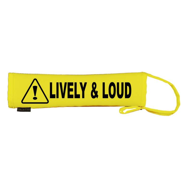 CAUTION LIVELY & LOUD- Fluorescent Neon Yellow Dog Lead Slip