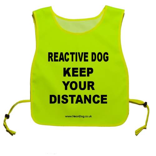 REACTIVE DOG KEEP YOUR DISTANCE - Fluorescent Neon Yellow Tabard
