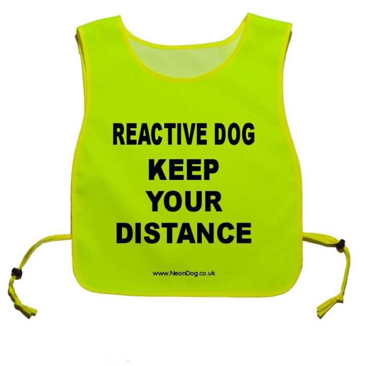 REACTIVE DOG KEEP YOUR DISTANCE - Fluorescent Neon Yellow Tabard