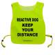 REACTIVE DOG KEEP YOUR DISTANCE - Fluorescent Neon Yellow Tabard