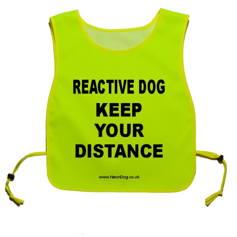 My Dog Requires Space - Fluorescent Neon Yellow Tabbard