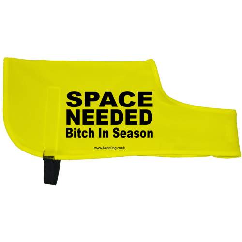 SPACE NEEDED BITCH IN SEASON - Fluorescent Neon Yellow Dog Coat Jacket