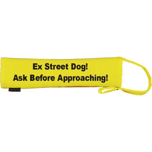 Keep Your Dog Away - Fluorescent Neon Yellow Dog Lead Slip