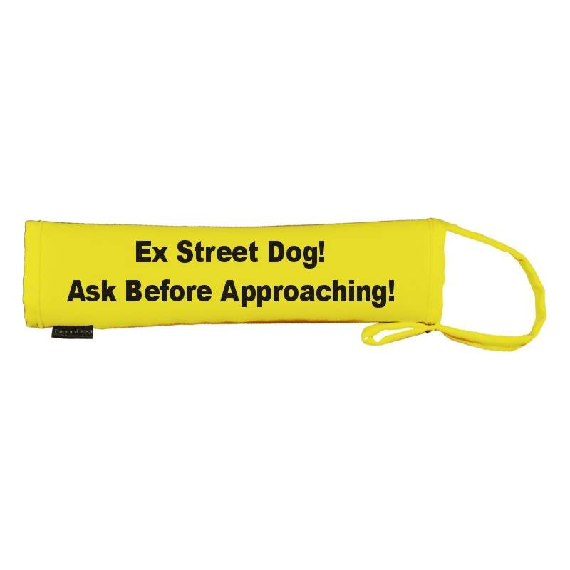 Ex Street Dog! Ask Before Approaching! - Fluorescent Neon Yellow Dog Lead Slip