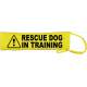Caution Rescue Dog In Training - Fluorescent Neon Yellow Dog Lead Slip