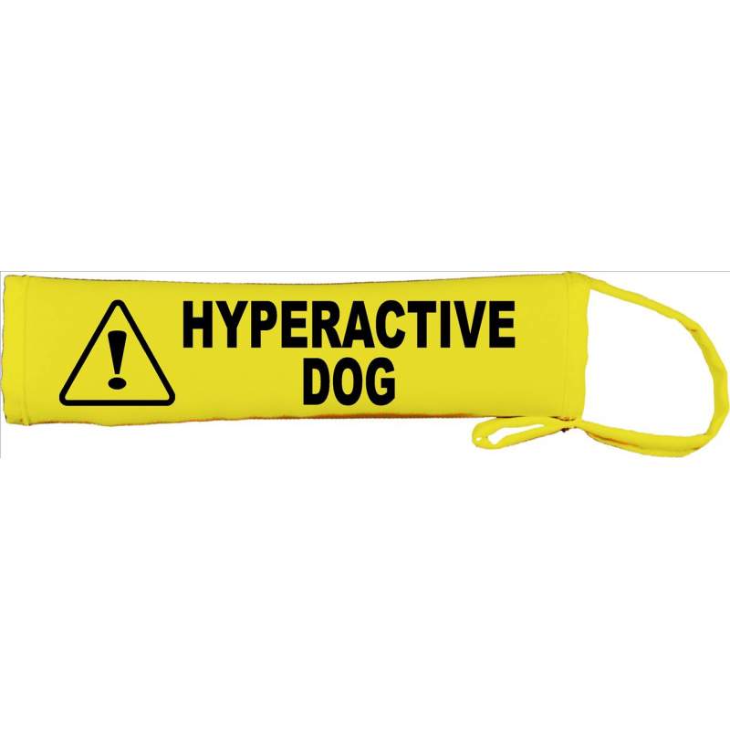 My Dog Requires Space - Fluorescent Neon Yellow Dog Lead Slip