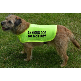 ANXIOUS DOG DO NOT PET  - Fluorescent Neon Yellow Dog Coat Jacket