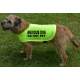 ANXIOUS DOG DO NOT PET - Fluorescent Neon Yellow Dog Coat Jacket
