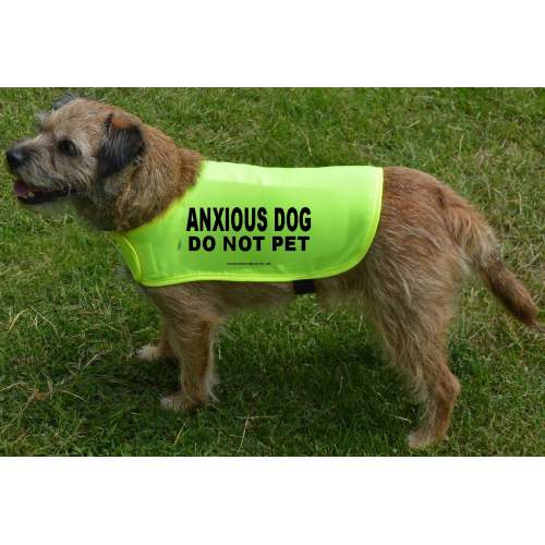 ANXIOUS DOG DO NOT PET - Fluorescent Neon Yellow Dog Coat Jacket
