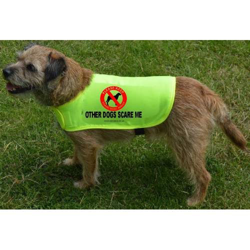 Other Dogs Scare Me - Fluorescent Neon Yellow Dog Coat Jacket